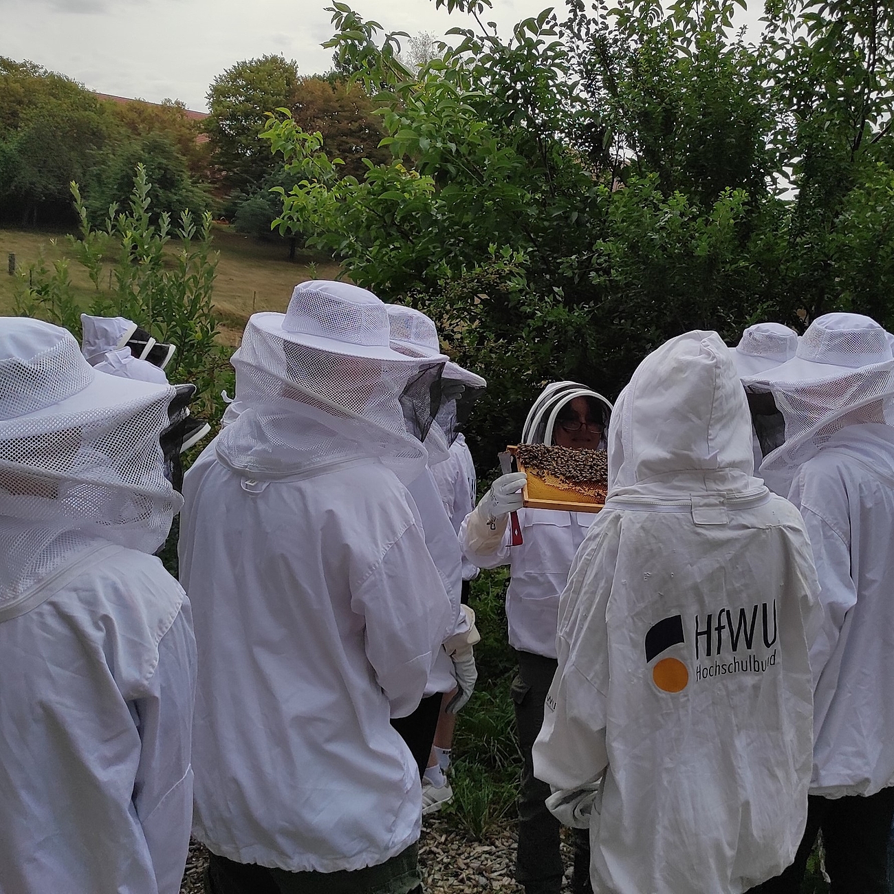 Professorin zeigt Schüler*innen in Imkeranzügen Bienenvolk