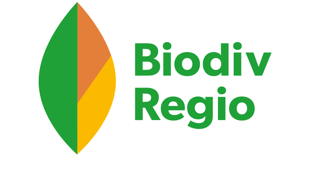 BiodivRegio Logo in grün, orange und gelb