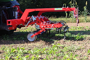 Traktor mit Hacke von hinten auf Rübenfeld