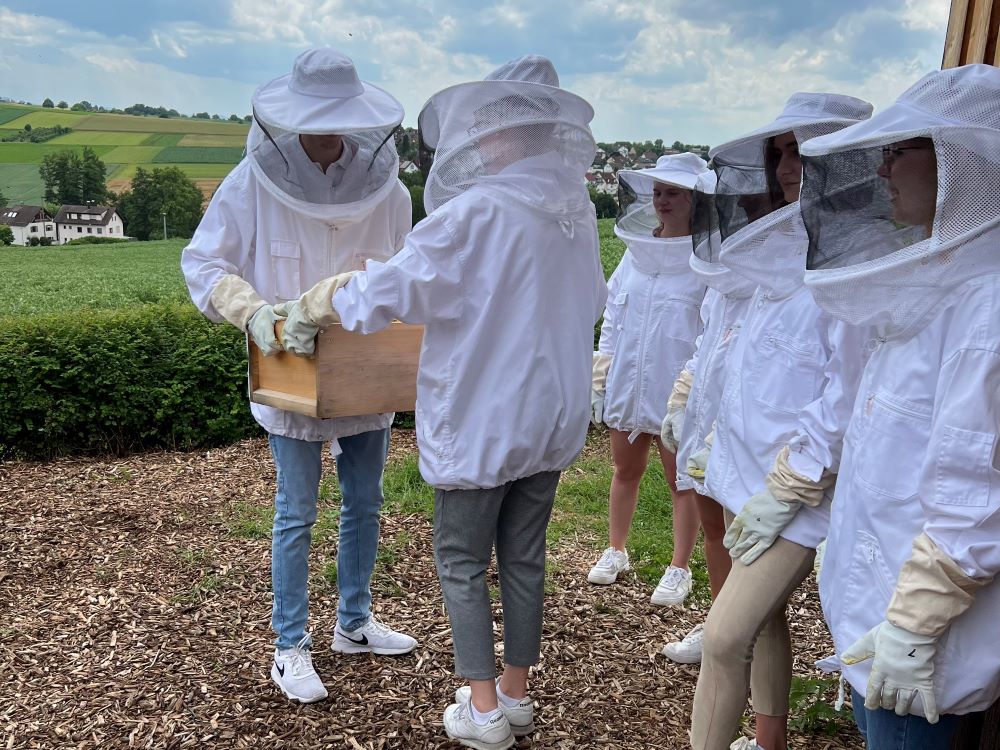 BWL-Studierende untersuchen ein Bienenvolk