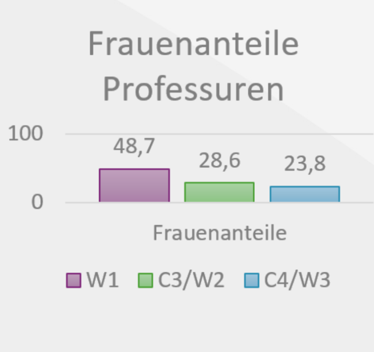 Schaubild Frauenanteile Professuren: W1 bei 48,7%, W2 bei 28,6%, W3 bei 23,8%