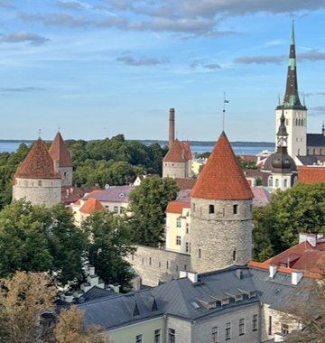 Blick über Altstadt Tallinn